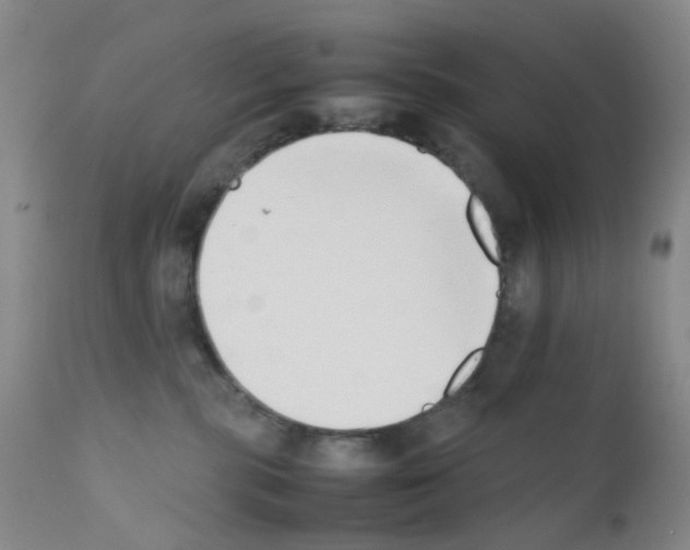 X0000111780283200909031140