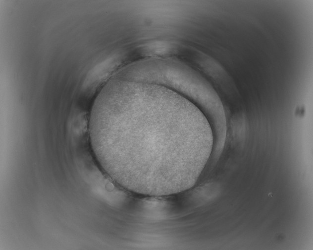 X0000111780284200909031140