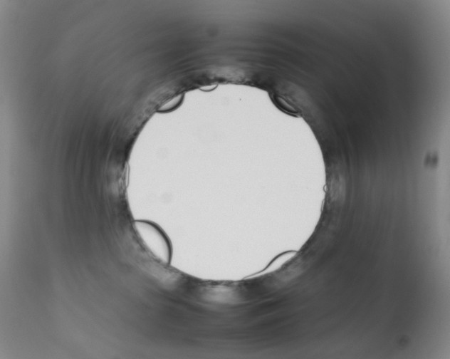 X0000111780285200909031140