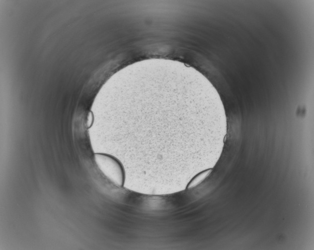 X0000111780287200909031140