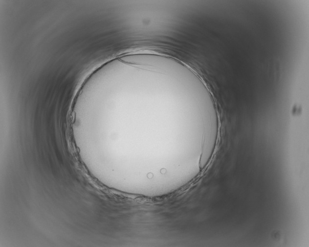 X0000111780289200909031139