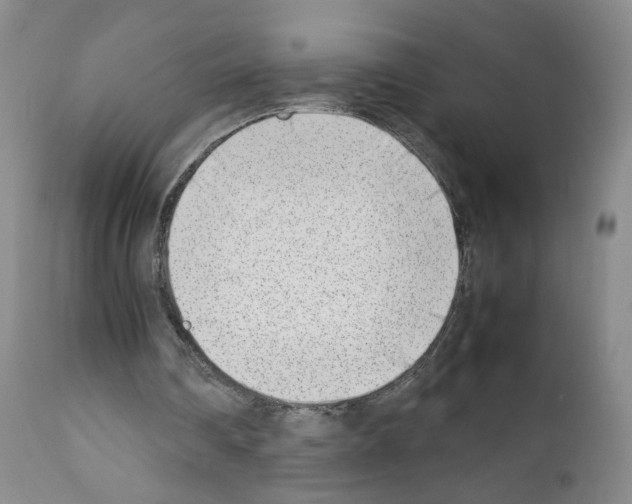 X0000111780290200909031139
