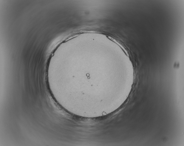 X0000111780293200909031139