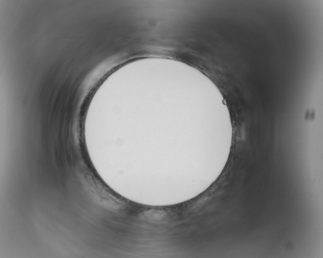X0000111780294200909031139