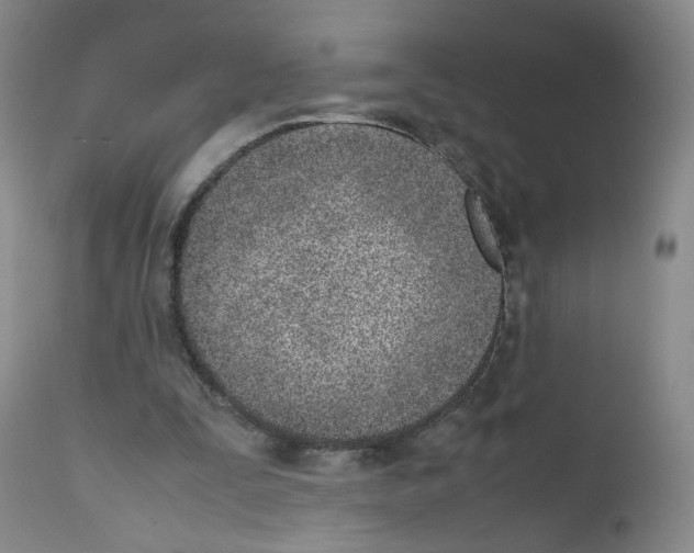 X0000111780295200909031139