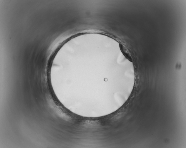 X0000111780296200909031139