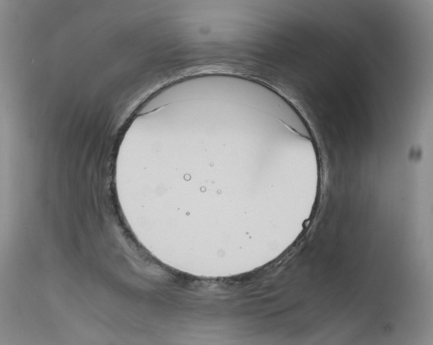 X0000111780297200909031139
