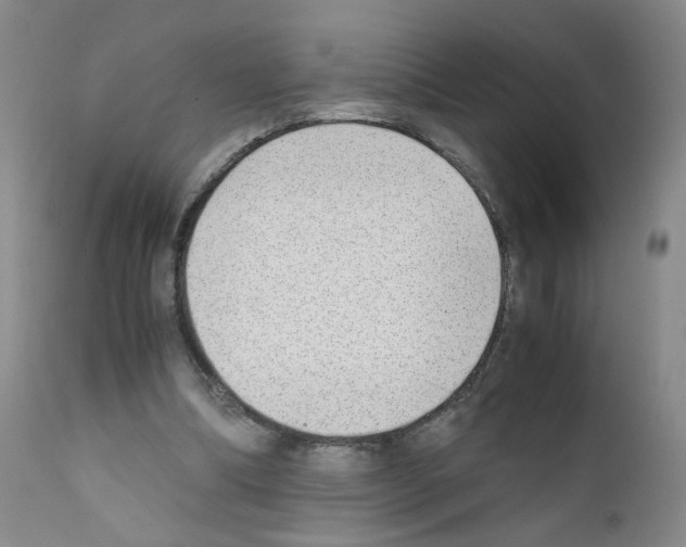 X0000111780298200909031139