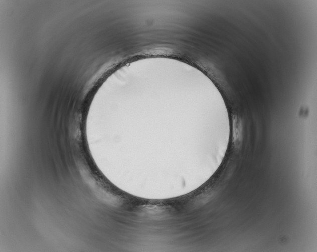 X0000111780300200909031139