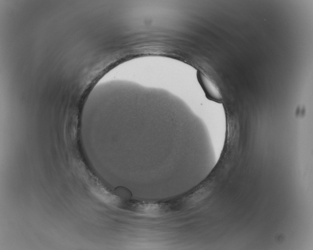 X0000111780301200909031139