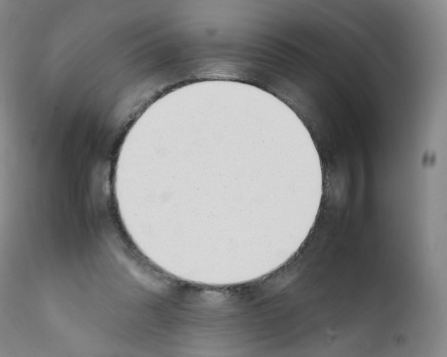X0000111780302200909031139