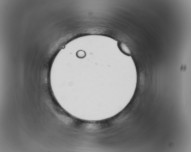 X0000111780303200909031139