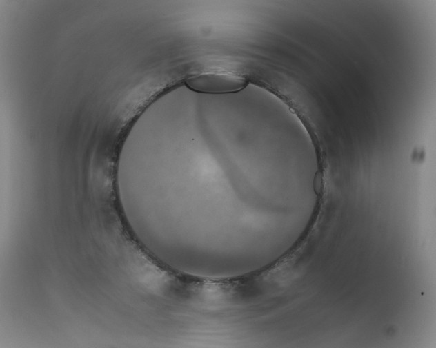X0000111780305200909031139
