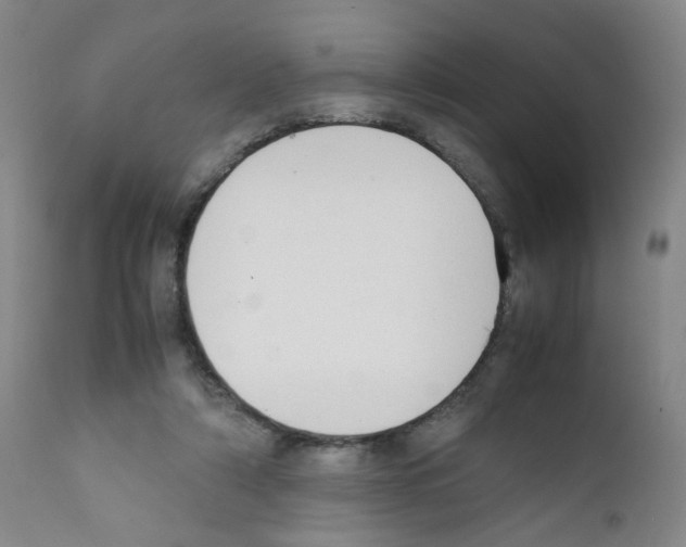 X0000111780306200909031139