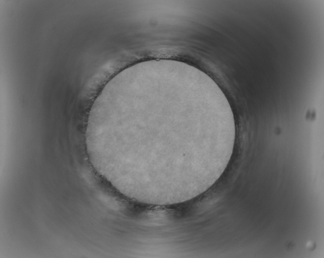 X0000111780307200909031139