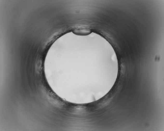 X0000111780308200909031139