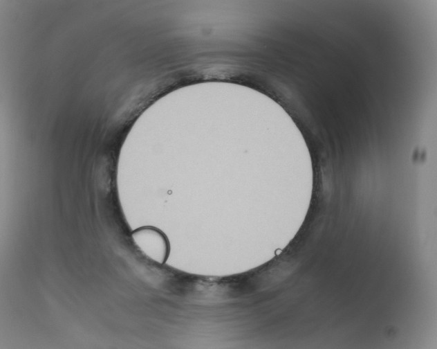 X0000111780311200909031139