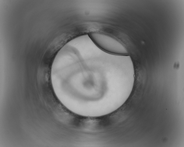X0000111780313200909031139