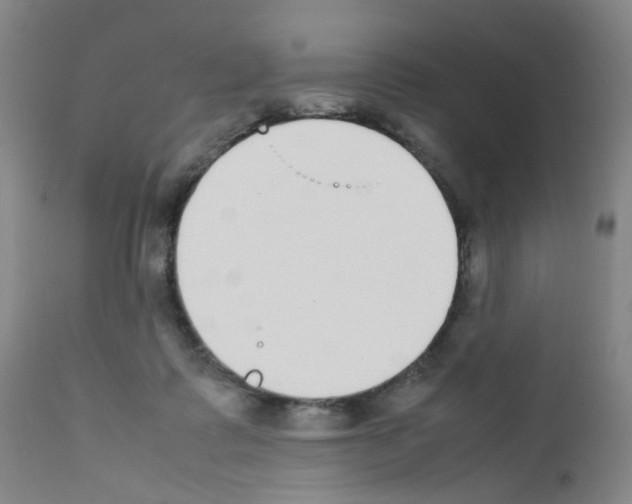 X0000111780315200909031139