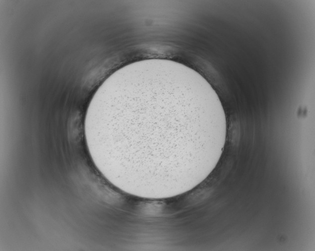 X0000111780318200909031139