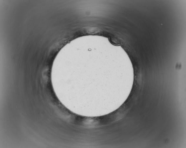 X0000111780319200909031139