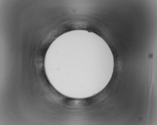 X0000111780323200909031139