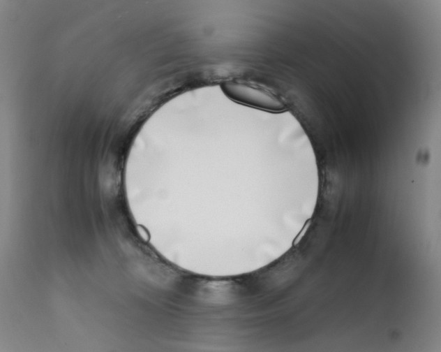 X0000111780324200909031139
