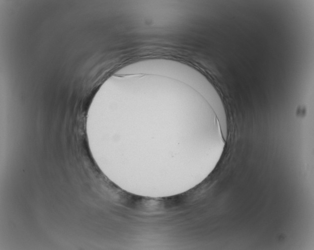 X0000111780325200909031139