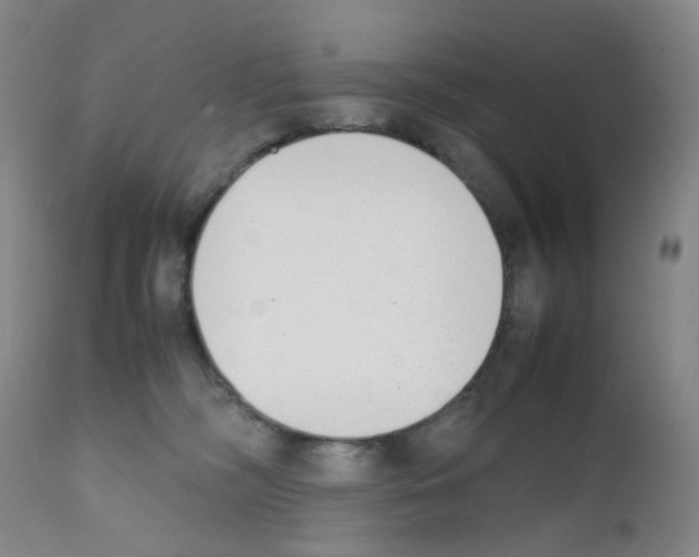X0000111780326200909031139