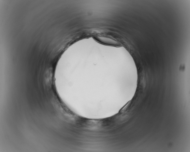 X0000111780328200909031139