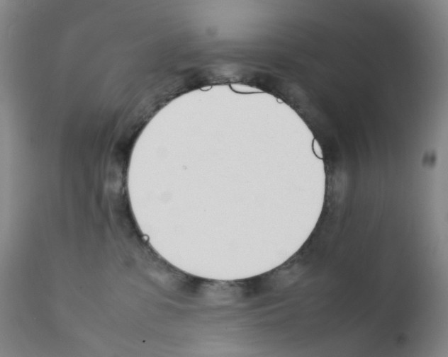 X0000111780331200909031139