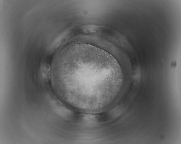 X0000111780332200909031139