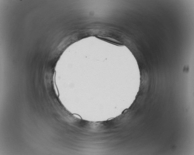 X0000111780333200909031139