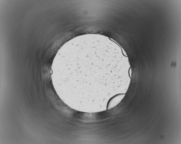 X0000111780335200909031139
