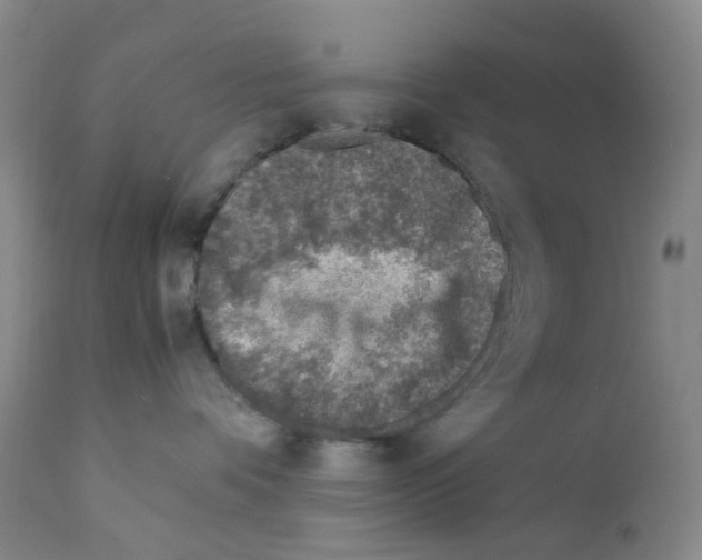 X0000111780336200909031139