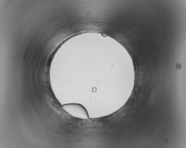 X0000111780338200909031138