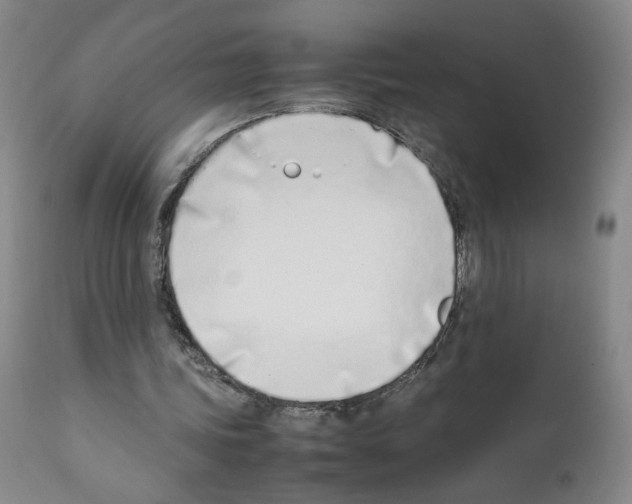 X0000111780339200909031138
