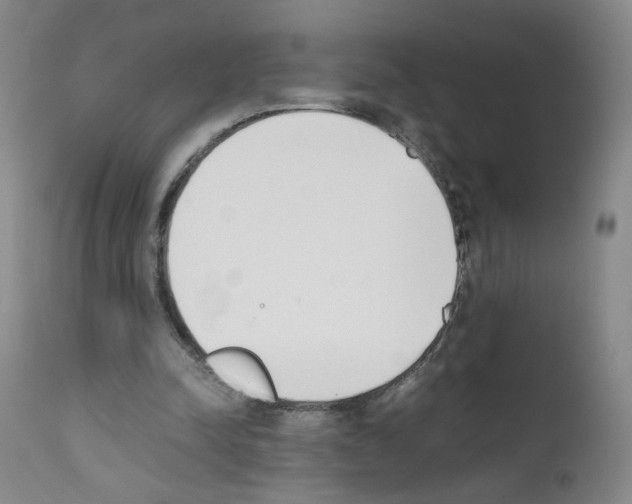 X0000111780342200909031138