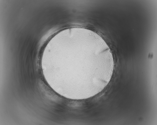 X0000111780343200909031138