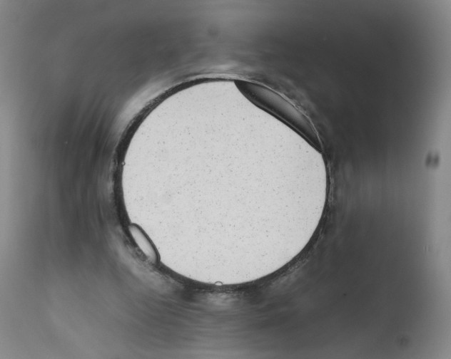 X0000111780344200909031138
