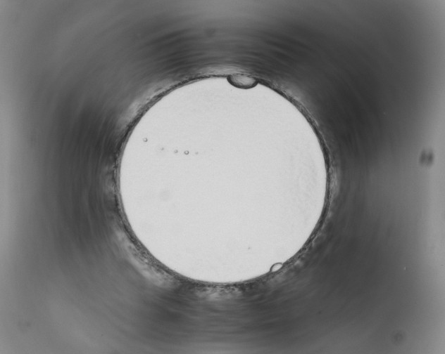 X0000111780345200909031138