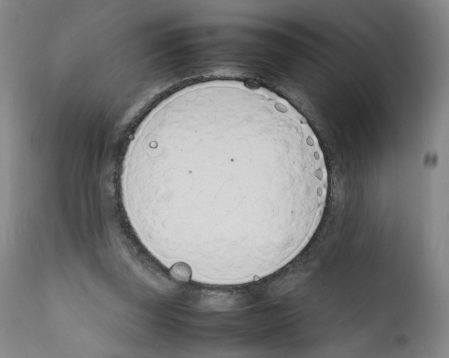 X0000111780347200909031138