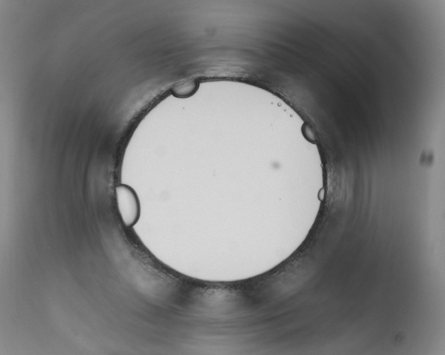X0000111780348200909031138