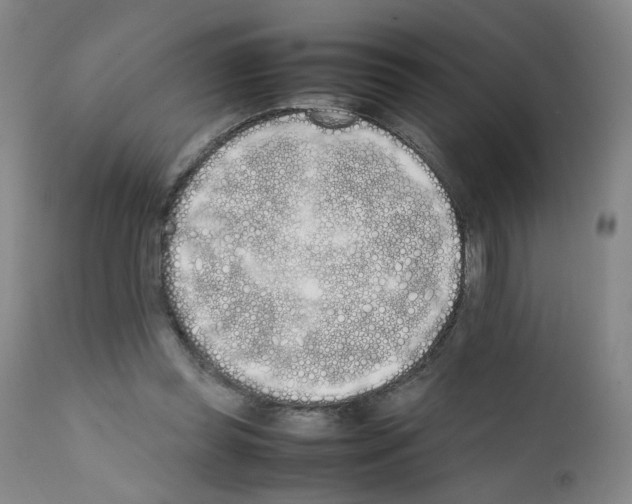 X0000111780349200909031138