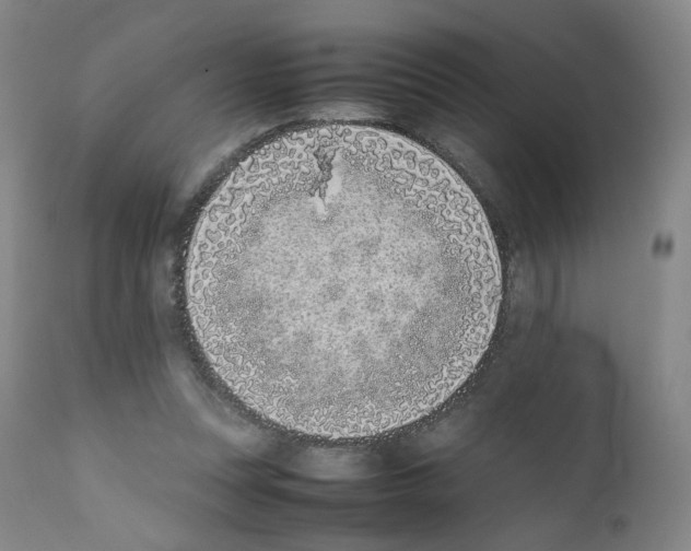 X0000111780351200909031138