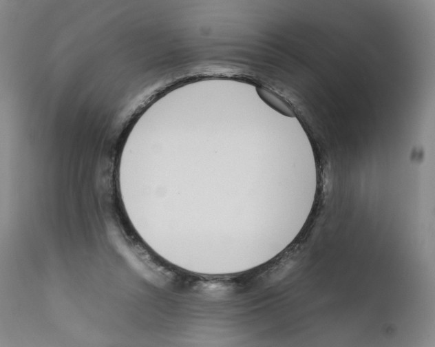 X0000111780352200909031138