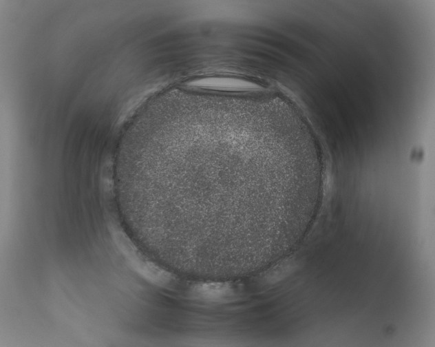 X0000111780353200909031138