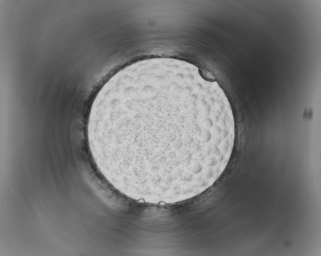 X0000111780354200909031138