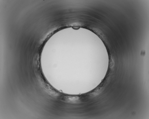 X0000111780355200909031138