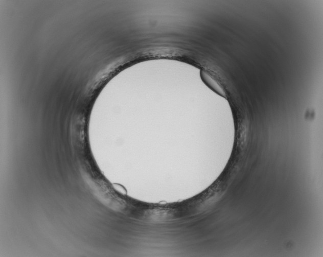 X0000111780356200909031138